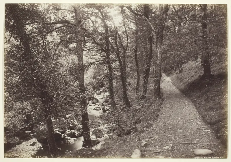 Dolgelley, View in Torrent Walk Wall Art by Francis Bedford - High-Resolution Digital Print