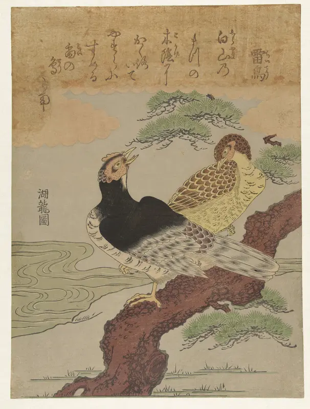 Dondervogels Wall Art by Unknown - High-Resolution Digital Print