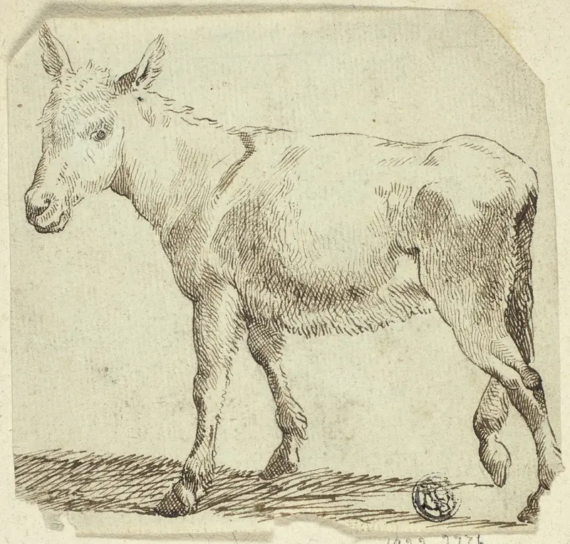 Donkey Wall Art by Unknown - High-Resolution Digital Print