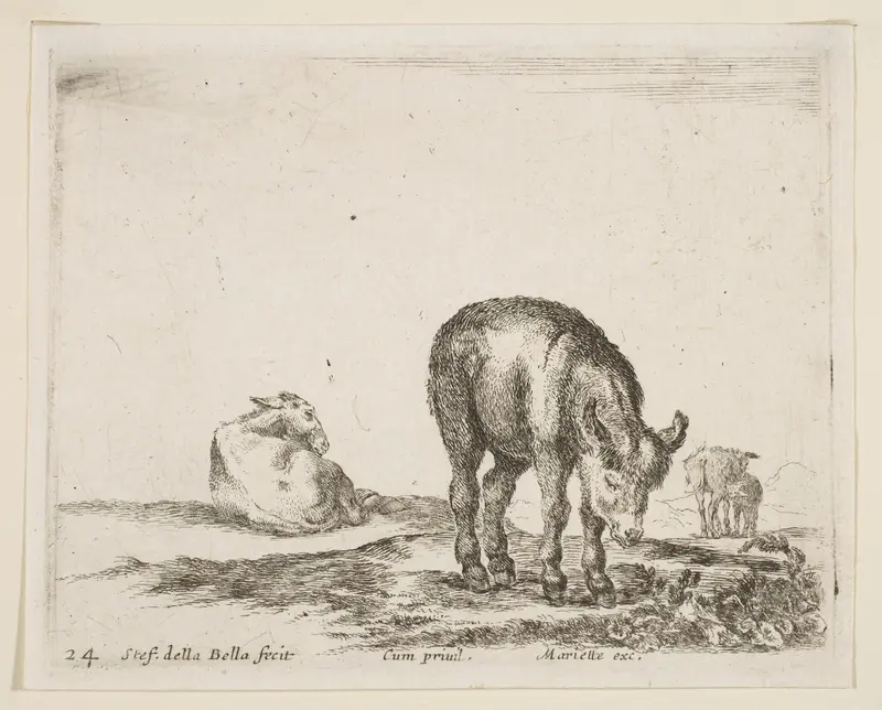 Donkeys, plate 24 from "Various Animals" (Diversi Animali) Wall Art by Stefano della Bella - High-Resolution Digital Print