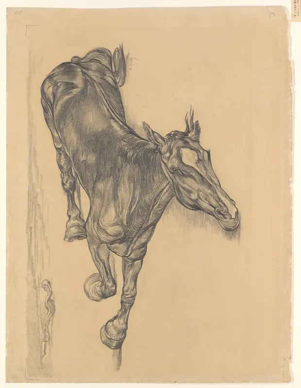 Dood paard Wall Art by Unknown - High-Resolution Digital Print