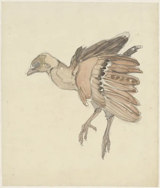 Dood vogeltje (patrijs?) Wall Art by Theo van Hoytema - High-Resolution Digital Print