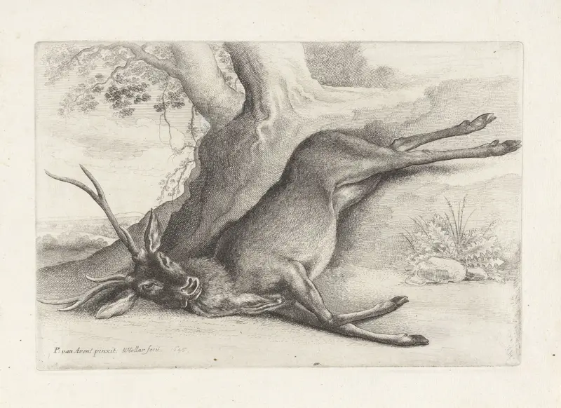 Doodgeschoten hert Wall Art by Unknown - High-Resolution Digital Print