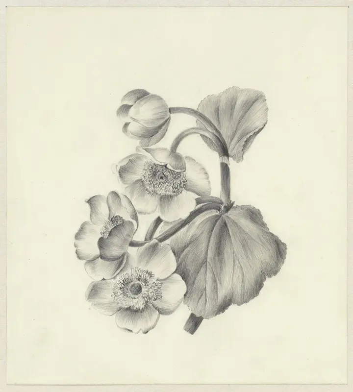 Dotterbloemen Wall Art by Antoinette Luden - High-Resolution Digital Print