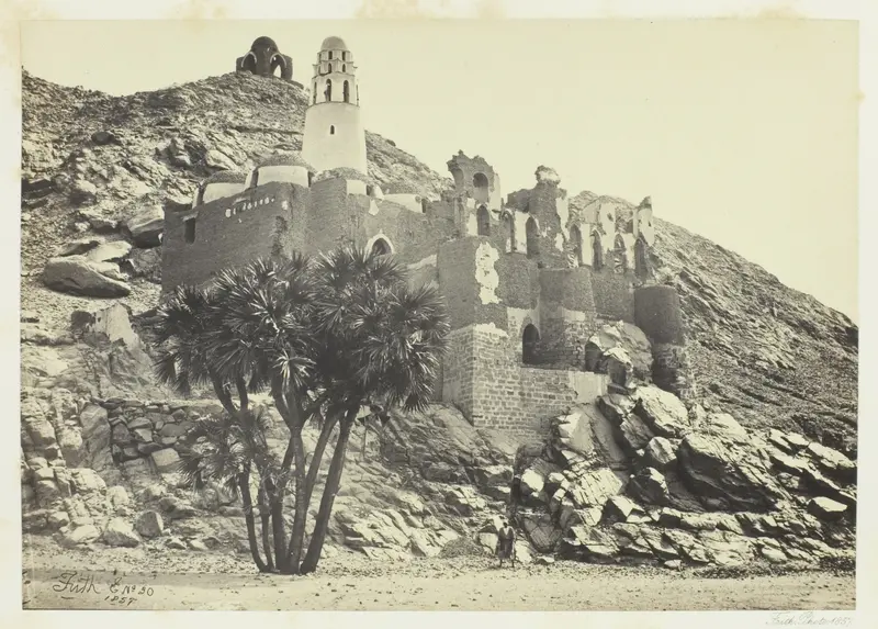 Doum Palm and Ruined Mosque, Philæ