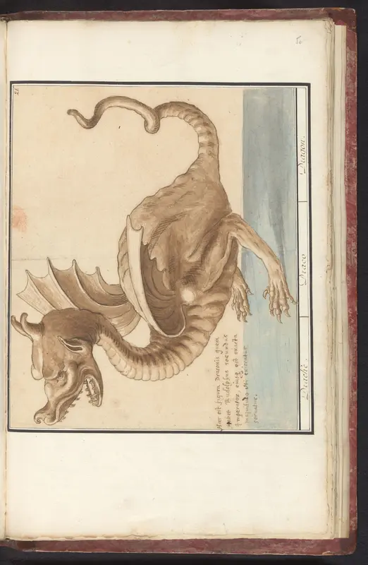Draak Wall Art by Anselmus Boëtius de Boodt - High-Resolution Digital Print
