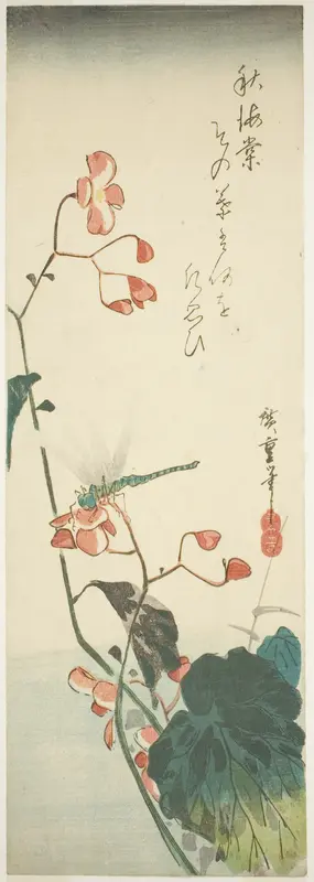 Dragonfly and begonia