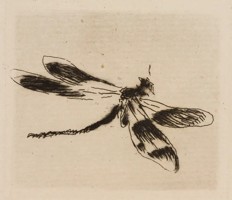 Dragonfly, plate 1 from Le Fleuve