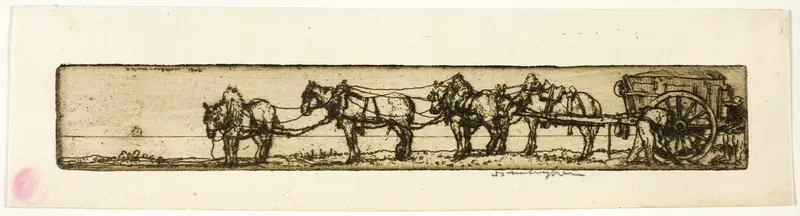 Draught Horses