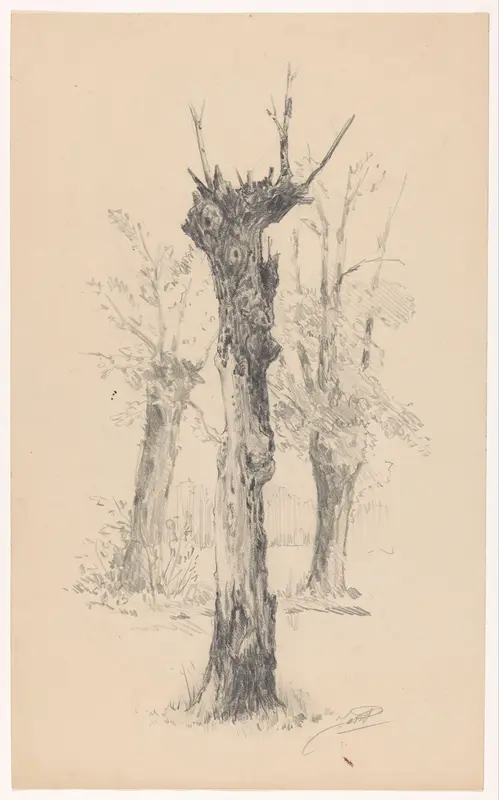 Drie geknotte bomen in het bos van 't Oude Hof te Bergen Wall Art by Unknown - High-Resolution Digital Print