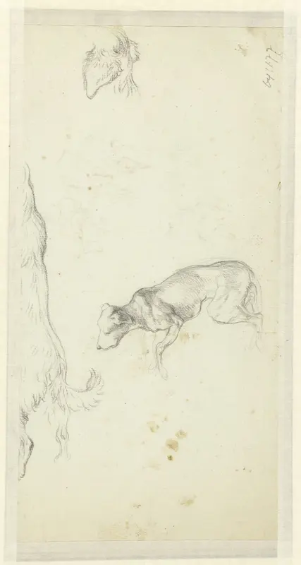 Drie hondenstudies Wall Art by Jean Louis Demarne - High-Resolution Digital Print