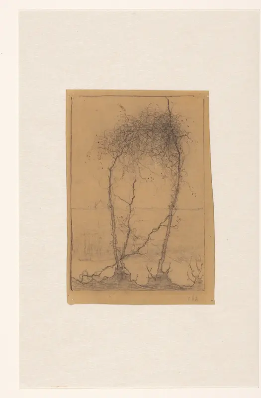 Drie omrankte boomstammetjes aan het water Wall Art by Jan Mankes - High-Resolution Digital Print