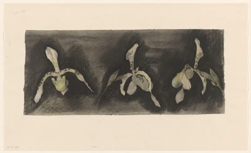 Drie orchideeën Wall Art by Theo Nieuwenhuis - High-Resolution Digital Print