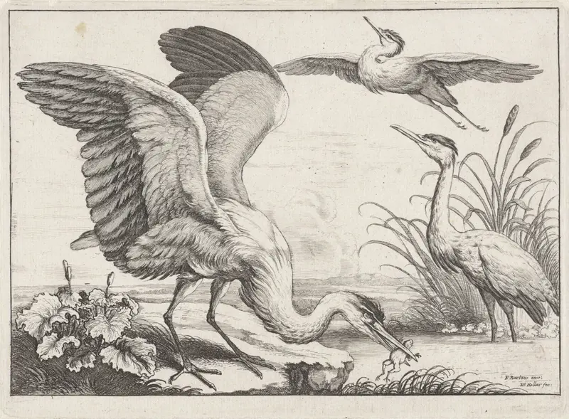 Drie reigers Wall Art by Unknown - High-Resolution Digital Print