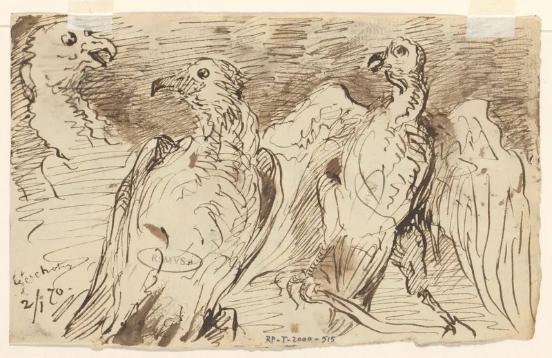 Drie roofvogels Wall Art by Johannes Tavenraat - High-Resolution Digital Print