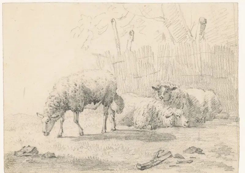 Drie schapen Wall Art by anonymous - High-Resolution Digital Print