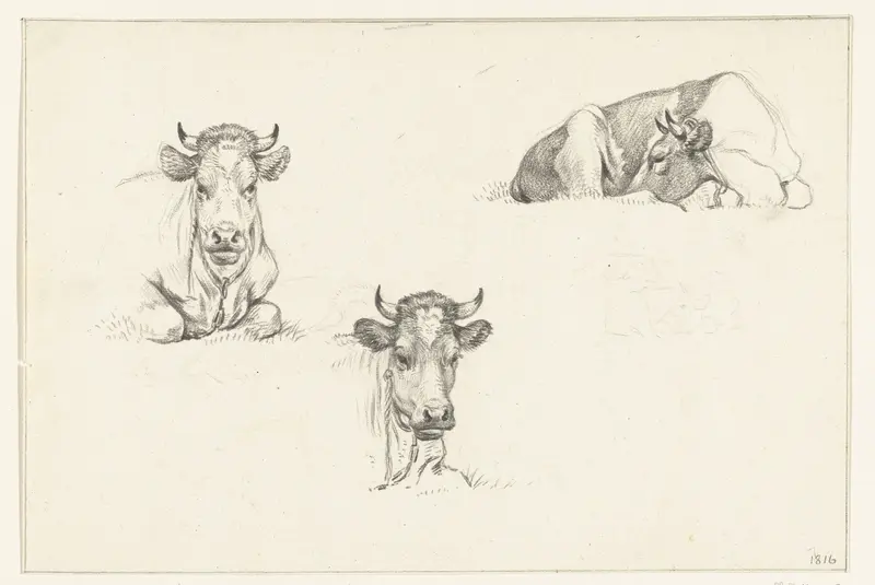 Drie schetsen van een liggende koe Wall Art by Jean Bernard - High-Resolution Digital Print