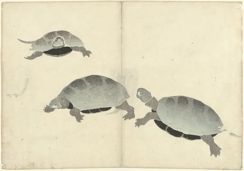 Drie schildpadden Wall Art by Nakamura Hôchû - High-Resolution Digital Print