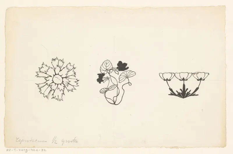 Drie soorten bloemen Wall Art by Willem Wenckebach - High-Resolution Digital Print