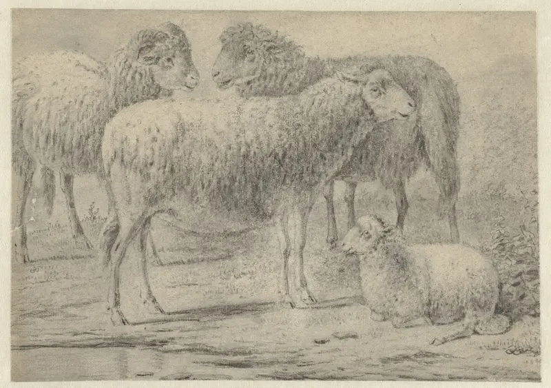 Drie staande schapen en een liggend lam Wall Art by Unknown - High-Resolution Digital Print