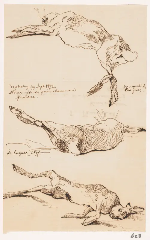 Drie studies van een geschoten haas Wall Art by Unknown - High-Resolution Digital Print