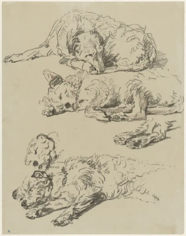 Drie studies van een liggende hond Wall Art by Guillaume Anne van der Brugghen - High-Resolution Digital Print
