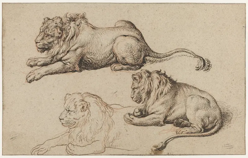 Drie studies van een liggende leeuw Wall Art by Jacques de Gheyn (II) - High-Resolution Digital Print