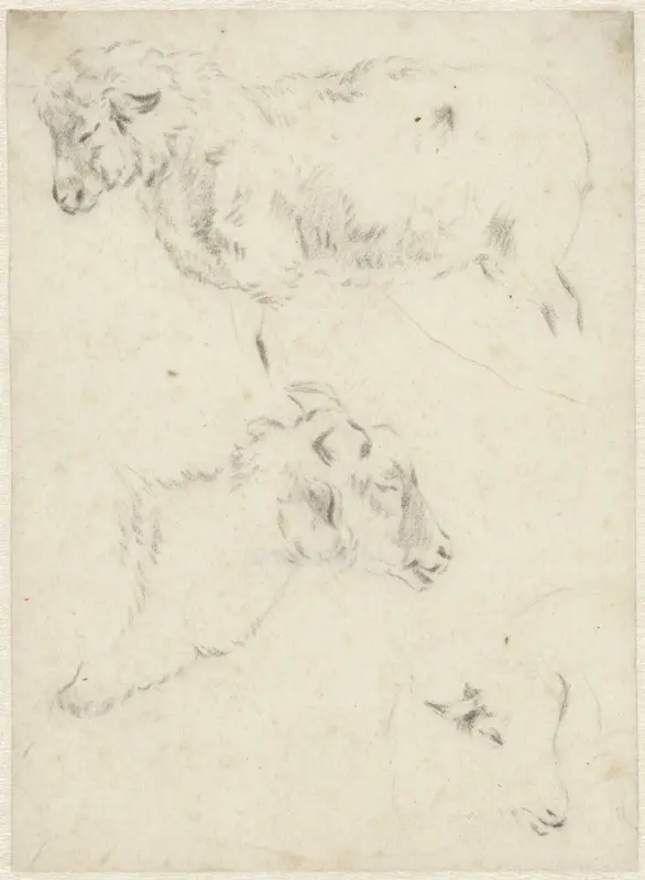 Drie studies van een schaap Wall Art by Abraham Krayestein - High-Resolution Digital Print