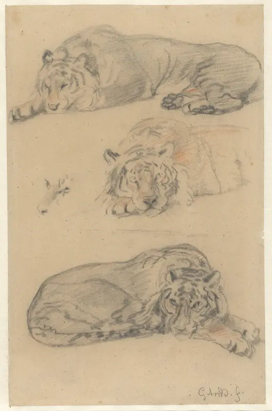 Drie studies van een tijger Wall Art by Guillaume Anne van der Brugghen - High-Resolution Digital Print