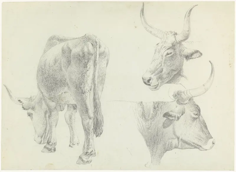 Drie studies van Italiaans rundvee Wall Art by Josephus Augustus Knip - High-Resolution Digital Print