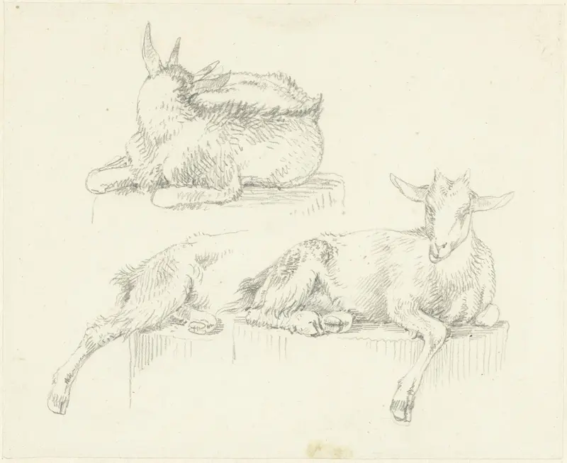 Drie studies van liggende geiten Wall Art by Josephus Augustus Knip - High-Resolution Digital Print