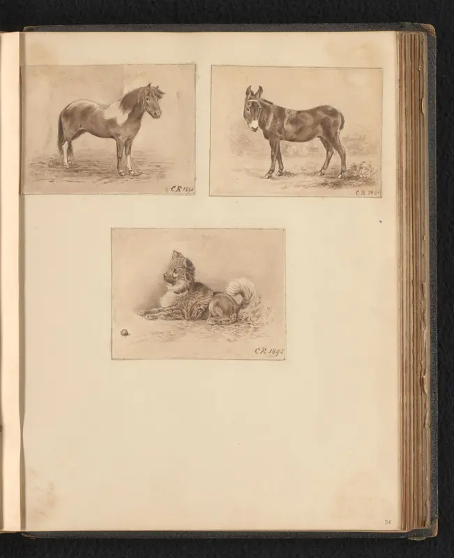 Drie tekeningen van een pony, een ezel en een hond Wall Art by anonymous - High-Resolution Digital Print
