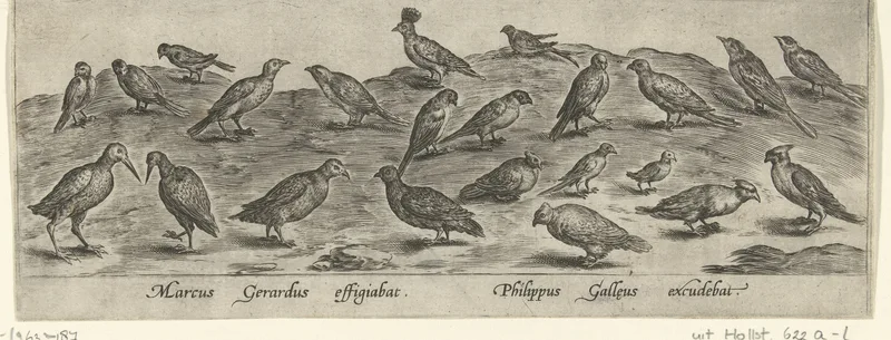 Drieëntwintig vogels Wall Art by Unknown artist - High-Resolution Digital Print