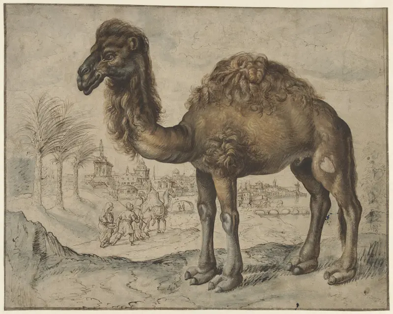 Dromedary in an Eastern Landscape with a City Wall Art by anonymous - High-Resolution Digital Print