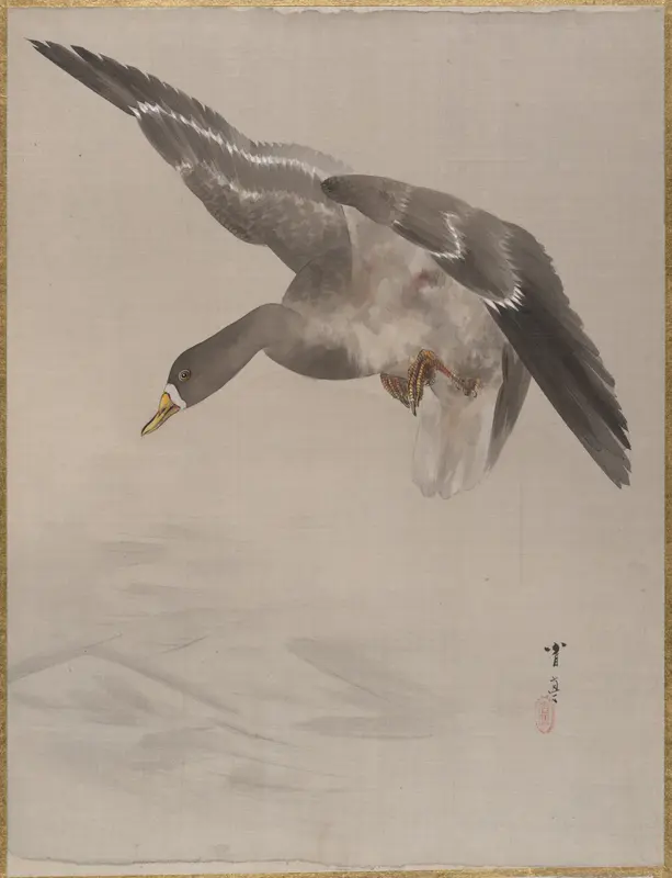 Duck Wall Art by Watanabe Seitei - High-Resolution Digital Print