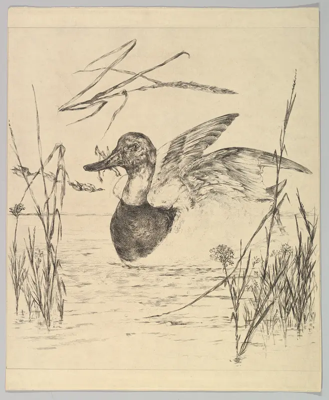 Duck Wall Art by Félix Bracquemond - High-Resolution Digital Print