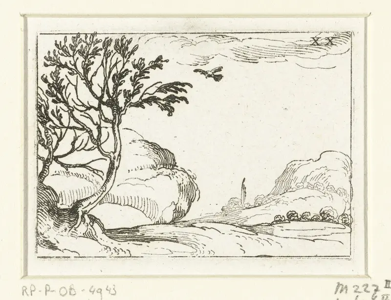 Duif in de woestijn Wall Art by François Langlois - High-Resolution Digital Print