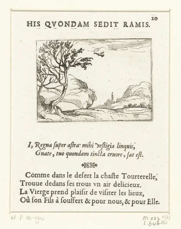 Duif in de woestijn Wall Art by Jacques Callot - High-Resolution Digital Print