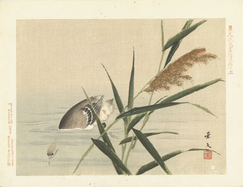 Duikende eend bij riet Wall Art by Aoki Kôsaburô - High-Resolution Digital Print