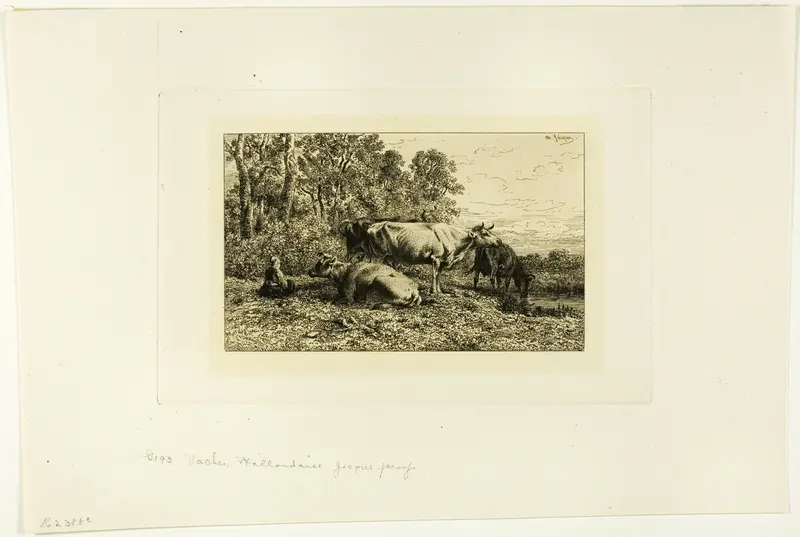 Dutch Cows
