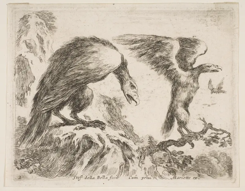 Eagle and eaglet, plate 2 from "Various Animals" (Diversi Animali) Wall Art by Stefano della Bella - High-Resolution Digital Print