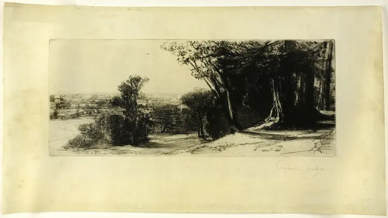 Early Morning, Richmond Park Wall Art by Francis Seymour Haden - High-Resolution Digital Print