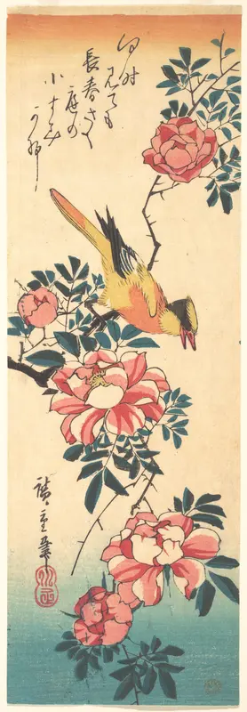 Eastern Grey Wagtail and Rose