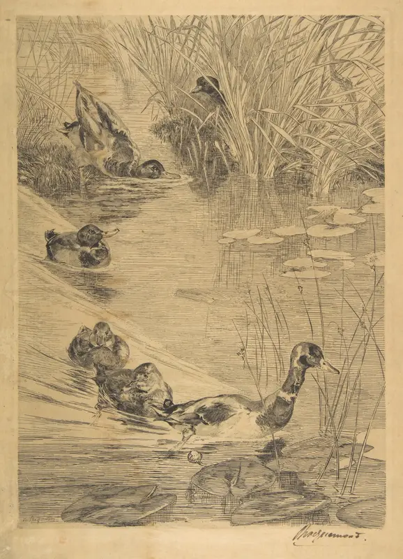 Ébats de canards Wall Art by Félix Bracquemond - High-Resolution Digital Print