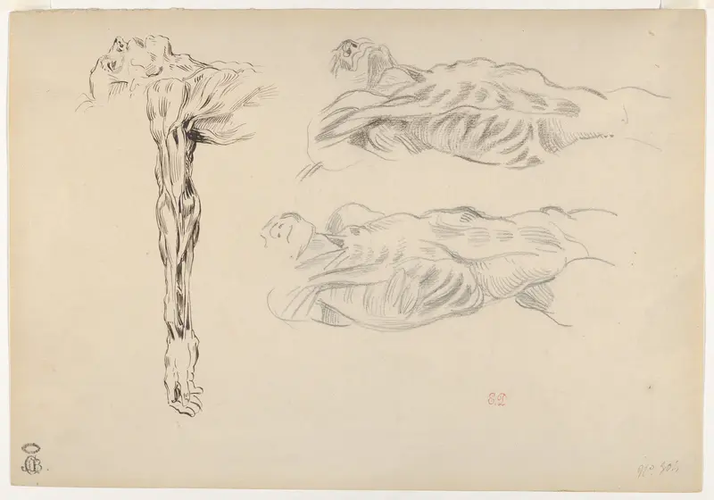 Écorché: Three Studies of a Male Cadaver Wall Art by Eugène Delacroix - High-Resolution Digital Print