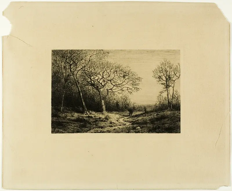 Edge of a Wood