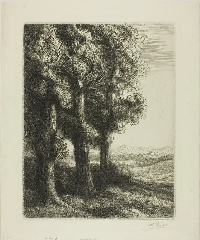 Edge of a Wood Wall Art by Alphonse Legros - High-Resolution Digital Print