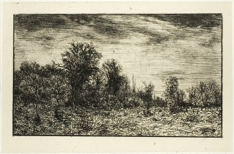 Edge of a Wood, under Cloudy Sky
