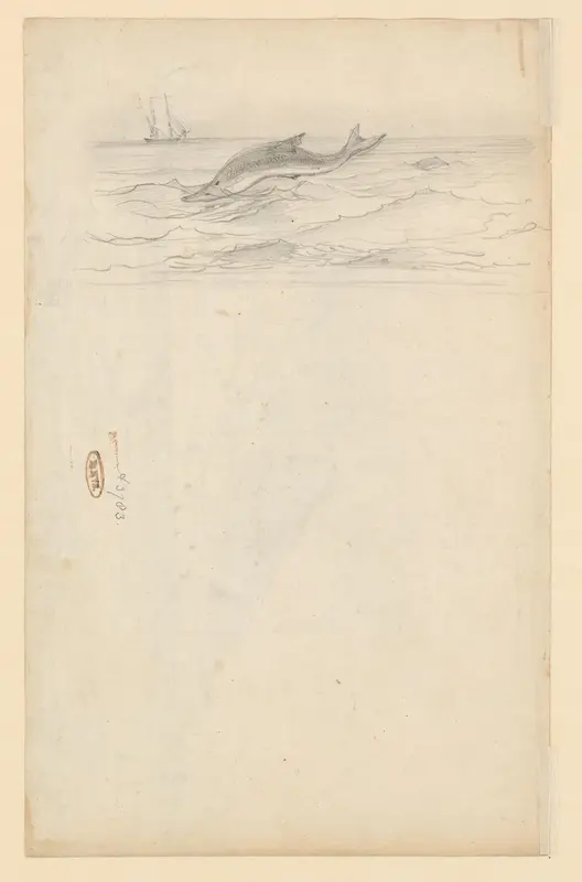 Een dolfijn die uit het water springt Wall Art by Willem Anthonie van Deventer - High-Resolution Digital Print