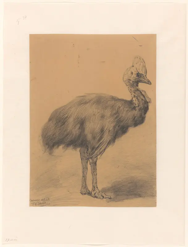 Een Kasuaris Wall Art by Frederik Willem Zürcher - High-Resolution Digital Print